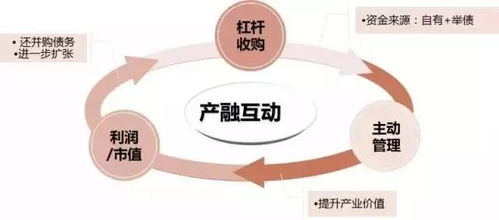 打造世界级食品帝国的私募基金之路